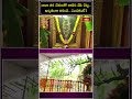 బాబా తన చేతులతో నాటిన వేప చెట్టు.. ఖచ్చితంగా తినండి.. ఎందుకంటే?#gurupurnima2025 #shiridi #saibaba  - 00:29 min - News - Video