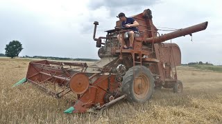 Jak wyglądają żniwa Vistulą z 1968 roku?
