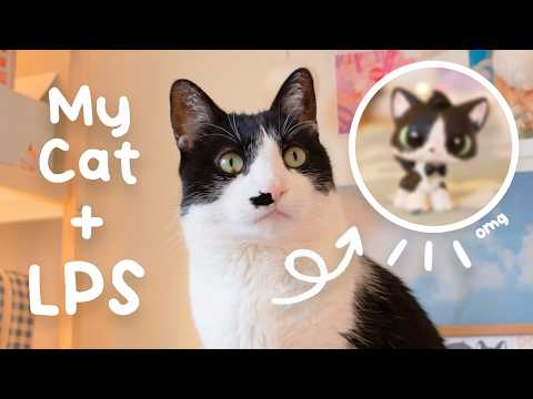 Making an LPS Custom of my Cat ✧˖°.