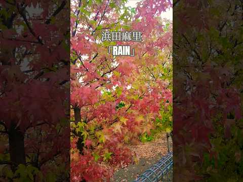 今日は雨です。街路樹が少し紅葉してきてます。朝(10月15日)この動画に合わせて浜田麻里さんの「RAIN」を聴いてください。#浜田麻里 #rain #紅葉 #秋#蒲郡市 #雨 #ラグーナ