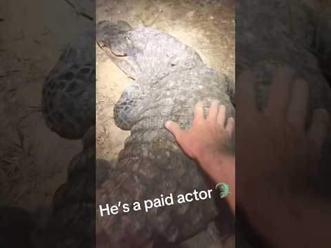 I’m that gator guy👨‍🦯 video thumbnail