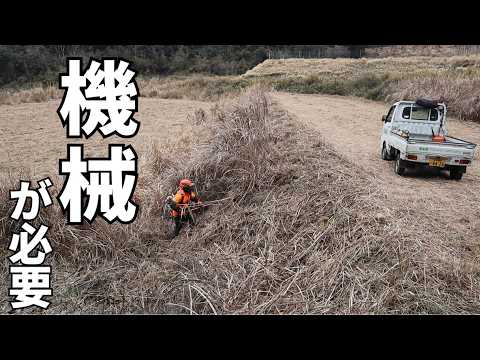 荒れた土地を受け継いで農業者になって想う事！耕作放棄地法面草刈り　雨降り作業