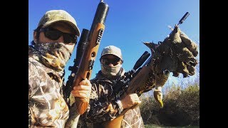 Caza variada estilo Bushcraft , Pato , codornices y tórtolas 2020, Armería Virtual