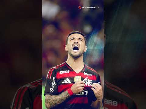 CONHEÇA A EQUIPE DE FOTOGRAFIA DO MENGÃO! 📸🔴⚫ #flamengo #pordentrodoninho