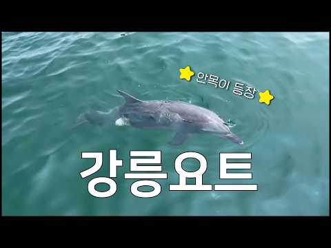 여름휴가는 동해안 요트 타러가자!!
