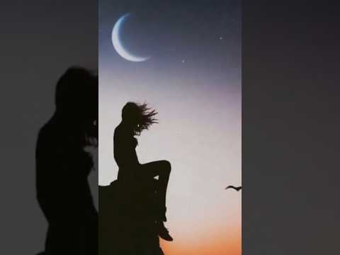 TÌNH LÀ GÌ? #love