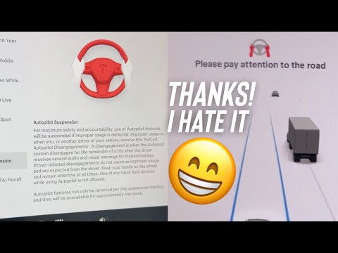 I Got Tesla's Holiday Update! 🎄I Hate It...