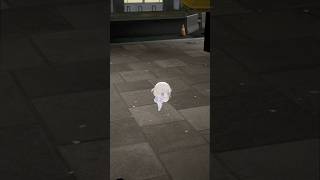 ノリノリでかうんたっく【轟はじめ】#vtuber #dance #countach