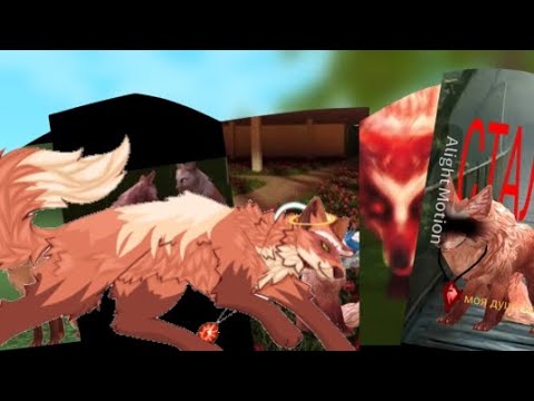 Реакция на ваши видео со мной/5 часть/#ваилдкрафт