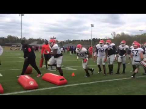 Georgia D-line