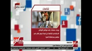شائعات وحقائق| حقيقة وجود لحوم كلاب بمحافظة المنيا -