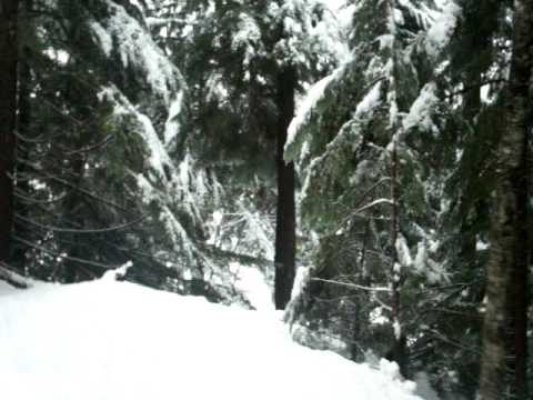 Video af overnatningsstedet