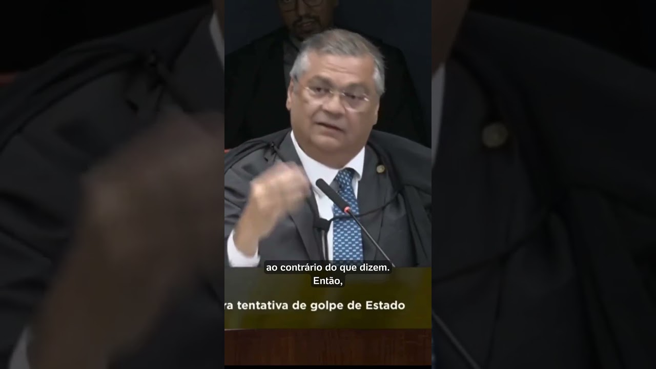 Dino brinca com Moraes e arranca risadas durante julgamento Samambaia é uma planta humanizada