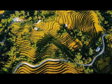 Vùng văn hóa Tày dưới chân đỉnh Tây Côn Lĩnh