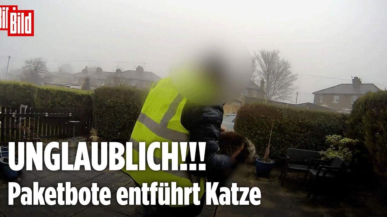 AMAZON-BOTE ENTFÜHRT KATZE: Paketlieferung in England endet mit schockierendem Diebstahl