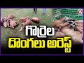 Police Arrested Sheep Thief In Keshavapatnam | Karimnagar | V6 News