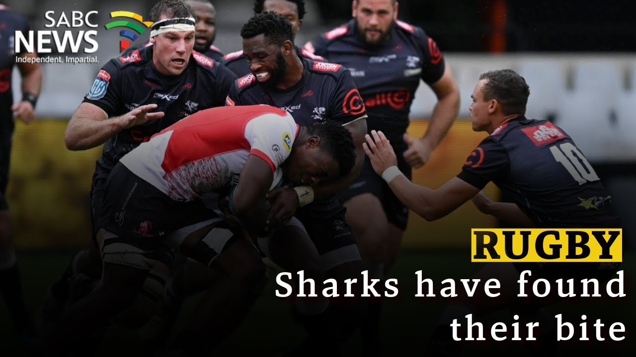 Rugby | Sharks have found their bite