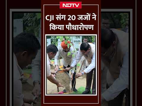 CJI Gavai के साथ 20 जजों ने किया पौधारोपण, पर्यावरण का संदेश दिया | Manjinder Singh Sirsa | Delhi