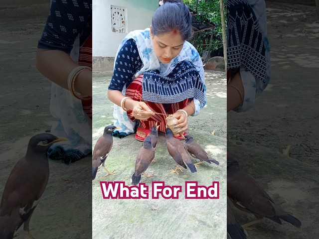 আমি মিঠুকে বোকলাম  কেন 🤔 | #pujamondal #pujaback #shorts#shortsfeed#ytshorts#viralshort#shortsviral