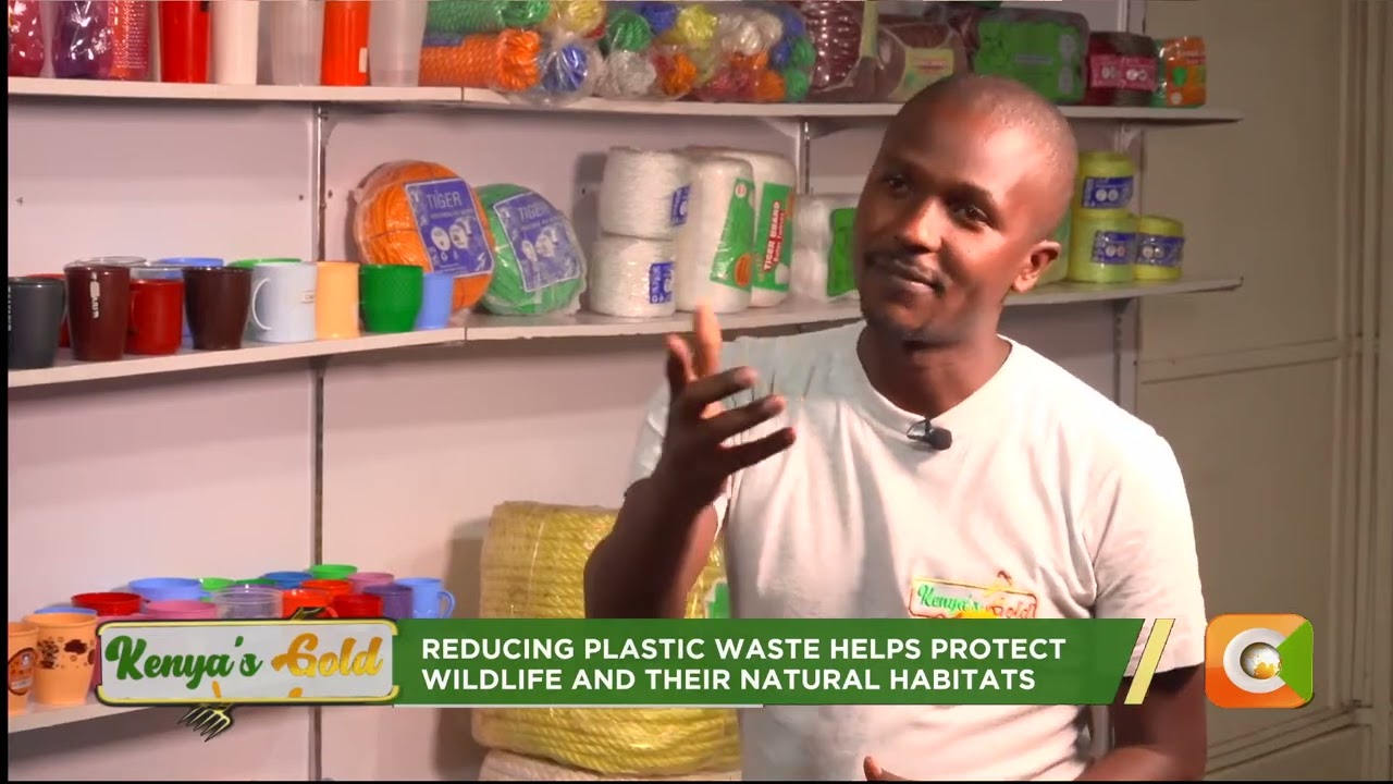 | KENYA'S GOLD | The Power of Recycling [Part 2]