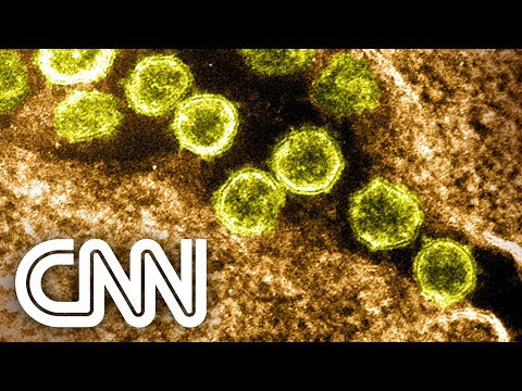 São Paulo registra primeiro caso positivo para a variante Delta do coronavírus | EXPRESSO CNN