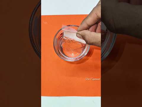 Water That Disappears😱Paani MeColourGayab#papershop#lionfish#papercra#shorts#youtube#mummysebaatkaro