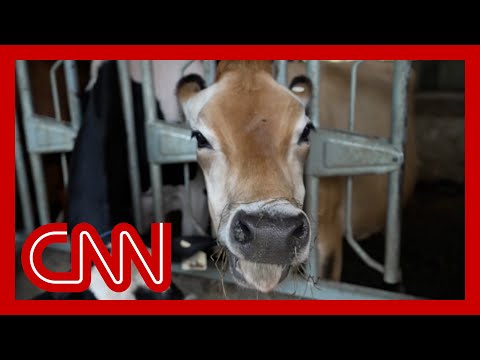 Hear how McDonald's could help save the earth