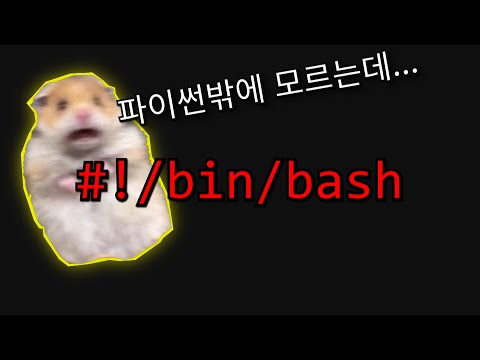 파이썬으로도 충분