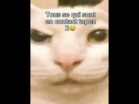 VIDÉO À L’ANCIENNEEEE