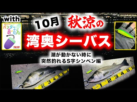 10月秋涼の湾奥シーバス - 潮が動かない時に突然釣れるS字シンペン編 - with バンジーあーむん
