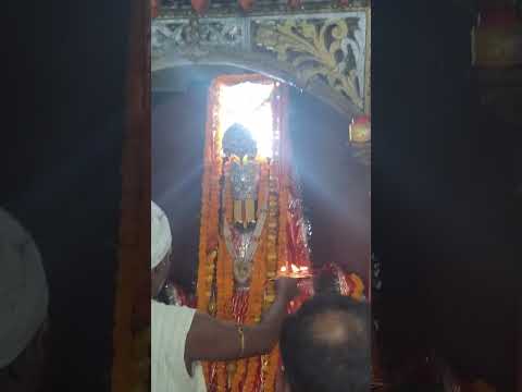 #song #chhathfestival #tarndeng #vlog #bhojpuri #chhathsong #chhathpuja #indianmusic #yt