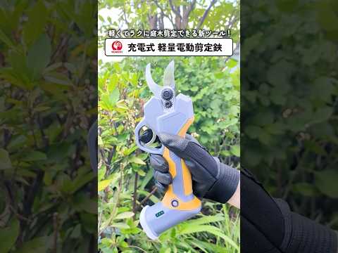 庭木の剪定が電動でラクラク！さらに軽くて手が疲れにくい！　#shorts