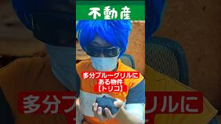 多分ブルーグリルにある物件【トリコ】