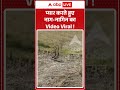Viral Video : प्यार करते हुए नाग नागिन का Video Viral! | #ytshorts #viral #snake #viralvideo