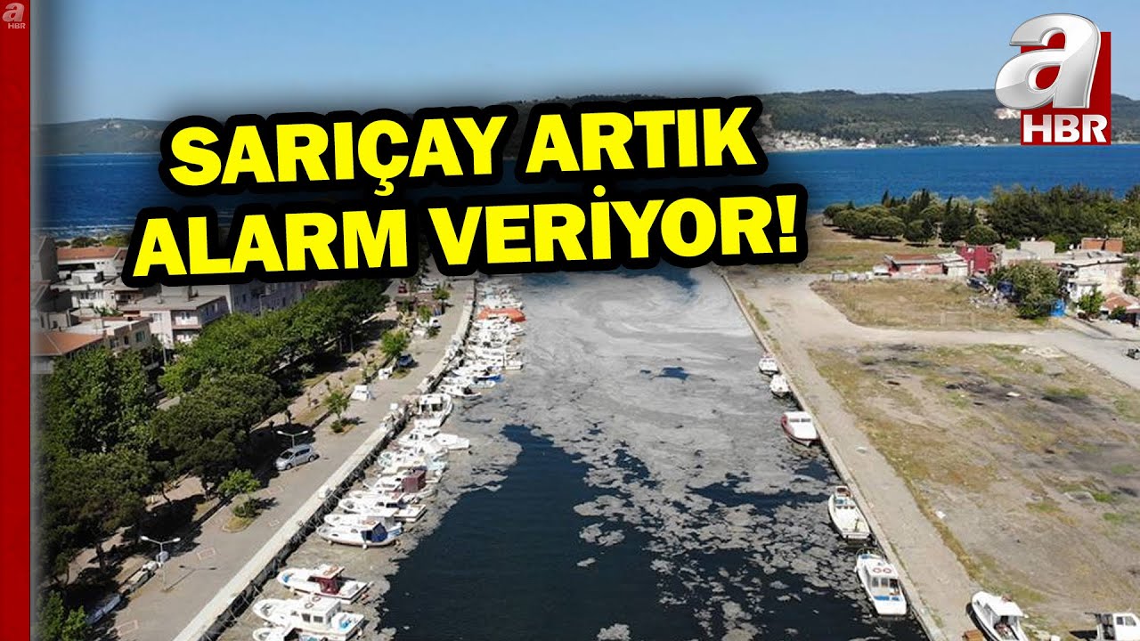 Sarıçay Ekolojik Riskle Karşı Karşıya! Sarıçay Çanakkale Boğazı'na da Kirlilik Taşıyor! | A Haber