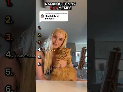 Ranking the Best Cat Memes Ever 🐱😂#shorts