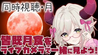 同時視聴：月【えま★おうがすと/にじさんじ所属】