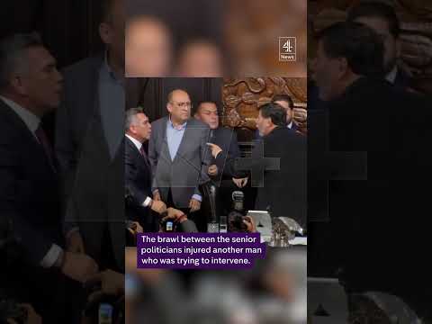 Politicians fight in Mexican Senate