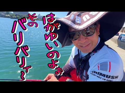 毒魚バリコが最高に美味い！けれど釣るのは難しい！「はがゆいのよそのバリバリ♪」