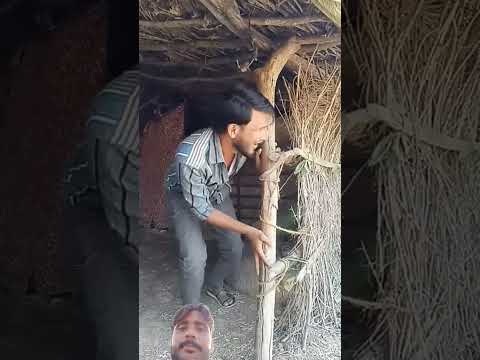 #funny video #comedy #harekfriendkaminahotahai #comedymovies