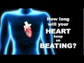 Women & Heart Disease Women & Heart Disease
