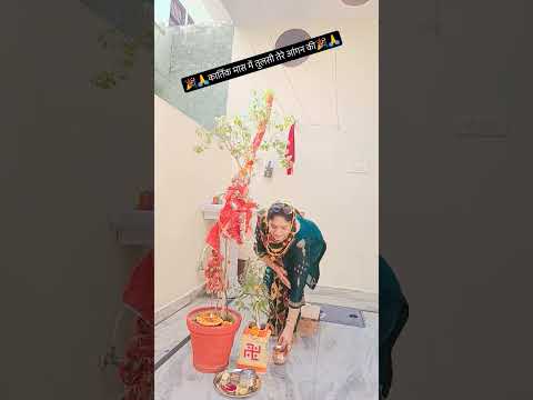 #हैप्पी कार्तिक मास#मैं तुलसी तेरेआंगन की 🎉💐🌺👍🙏 #भक्तिभाव #viralvideo ‎