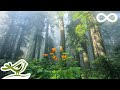 Beautiful Relaxing Music - Peaceful Piano Music & Guitar Music by Soothing Relaxation