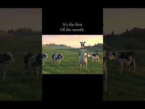 WAKE UP #itsthefirstofthemonth #november #fyp #trending #viral