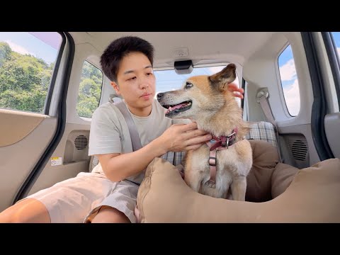 病院へ向かう朝、食欲のない愛犬にそっと寄り添う