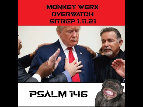 Monkey Werx Overwatch SITREP 1 11 21