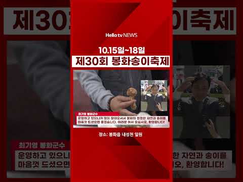 송이송이 봉화송이 | 제30회 봉화송이축제 '청정자연 봉화에 먹거리 즐길거리 가득' #봉화 #봉화송이축제 #<strong>송이</strong> #내성천 #가을축제 #<strong>버섯</strong>