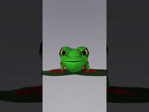 Frogy #frog