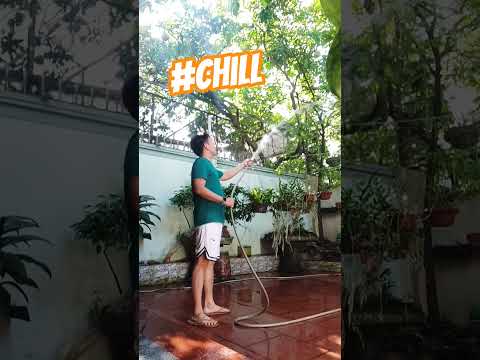 Cảnh này chill phết 🍀 #coachthangle