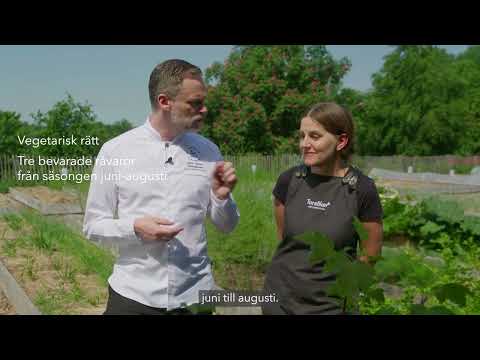 Årets Kock utmanar kockeliten: Laga vegetariskt med råvaror i säsong 🌱